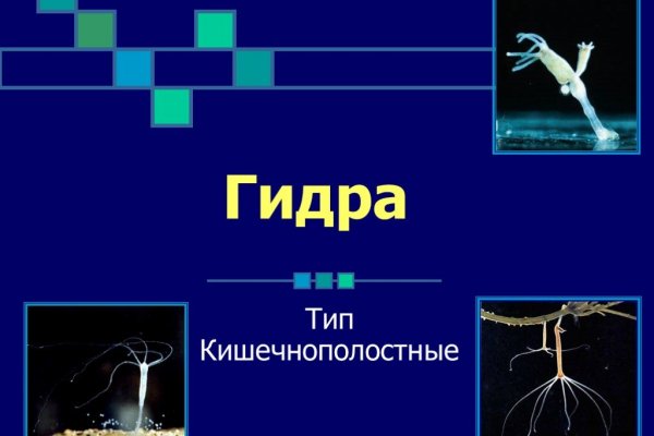 Как зарегистрироваться на кракене маркетплейс