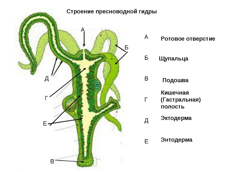 Кракен наркомаркет